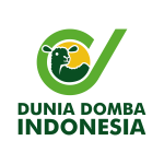 dunia-domba-indonesia